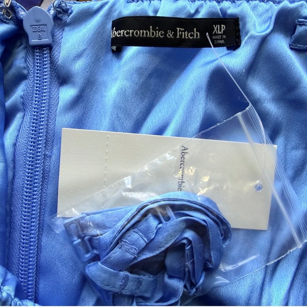 Abercrombie Pleated Strapless Maxi Dress Blue Ombre Formal Evening Gown XLP NWT